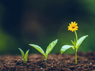 Outgrowing the Old You: Embracing the Person You are Becoming