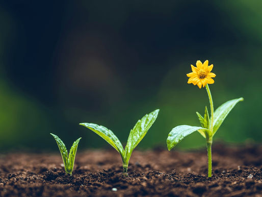 Outgrowing the Old You: Embracing the Person You are Becoming