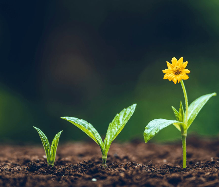 Outgrowing the Old You: Embracing the Person You are Becoming