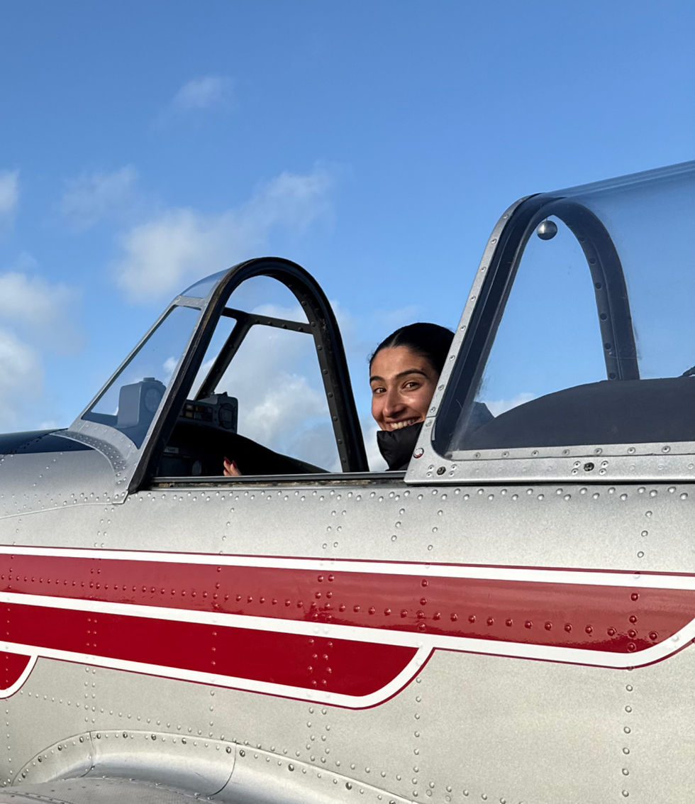 Pilotin